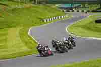 cadwell-no-limits-trackday;cadwell-park;cadwell-park-photographs;cadwell-trackday-photographs;enduro-digital-images;event-digital-images;eventdigitalimages;no-limits-trackdays;peter-wileman-photography;racing-digital-images;trackday-digital-images;trackday-photos